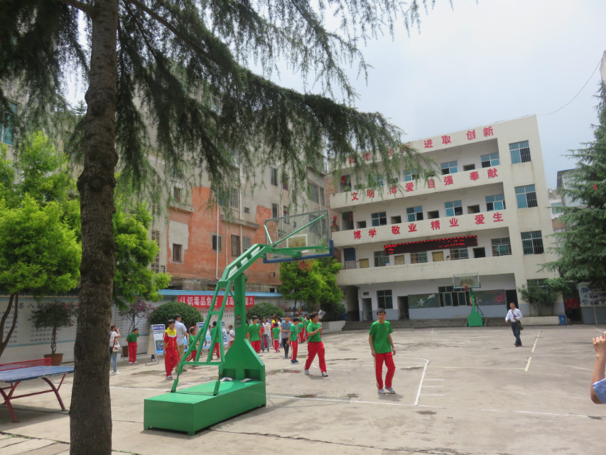 图片1