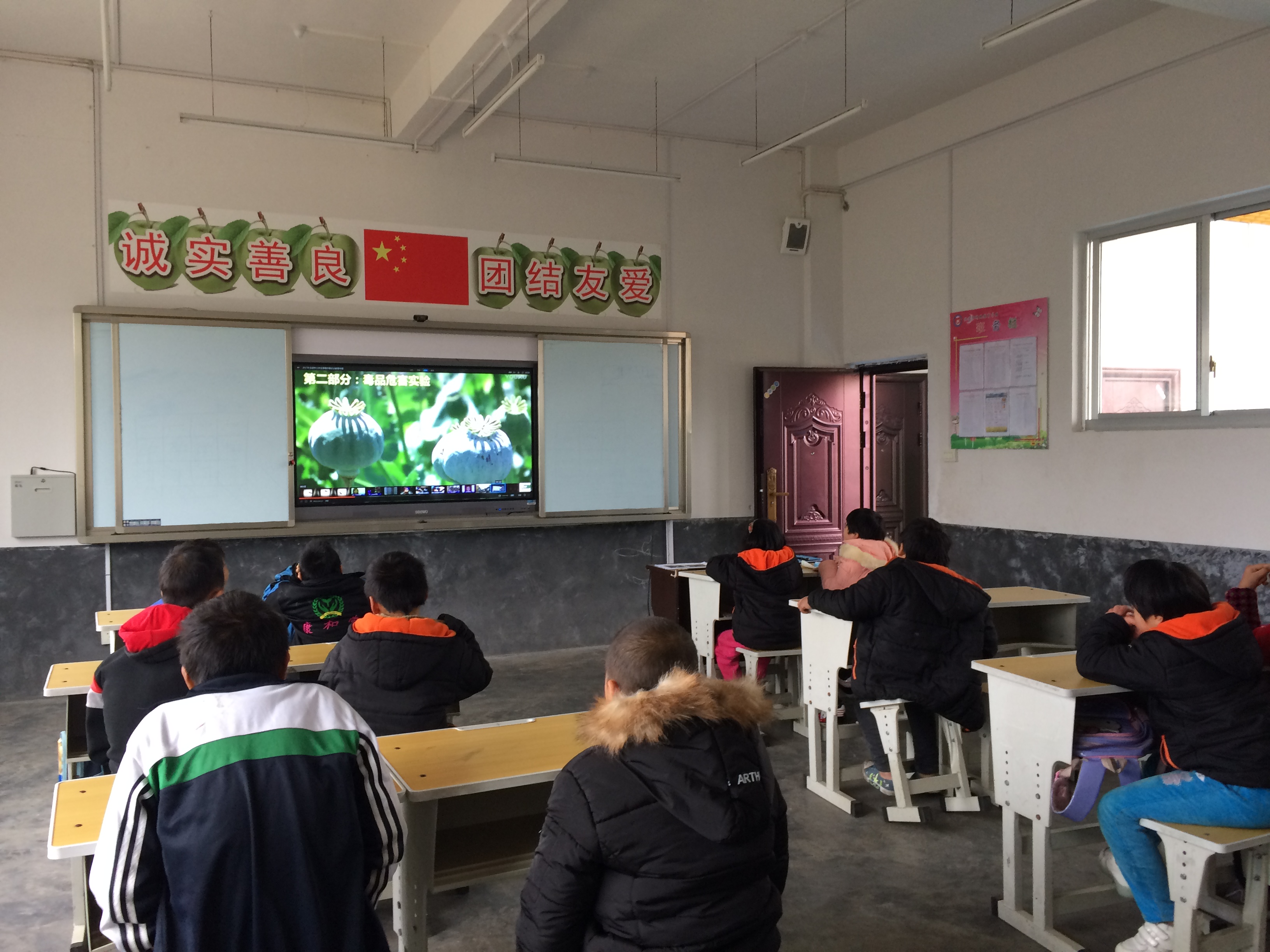 图片1