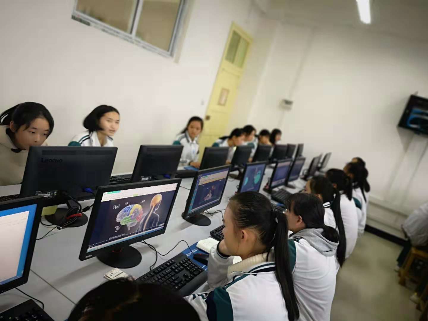 图片1