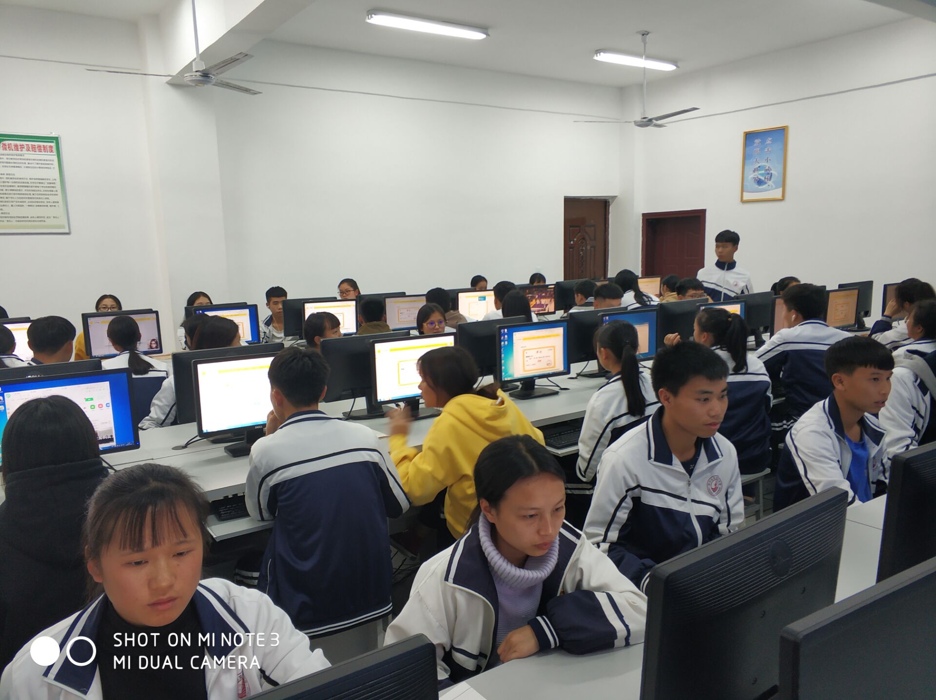 图片1